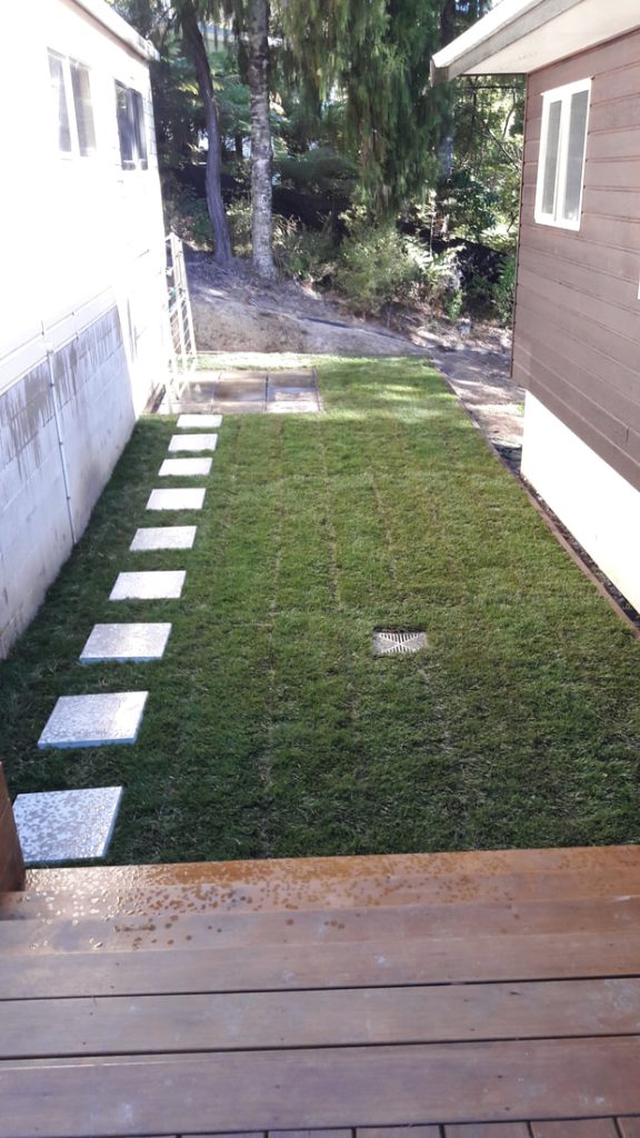 Freshly laid lawn and pathway at Auckland batch
