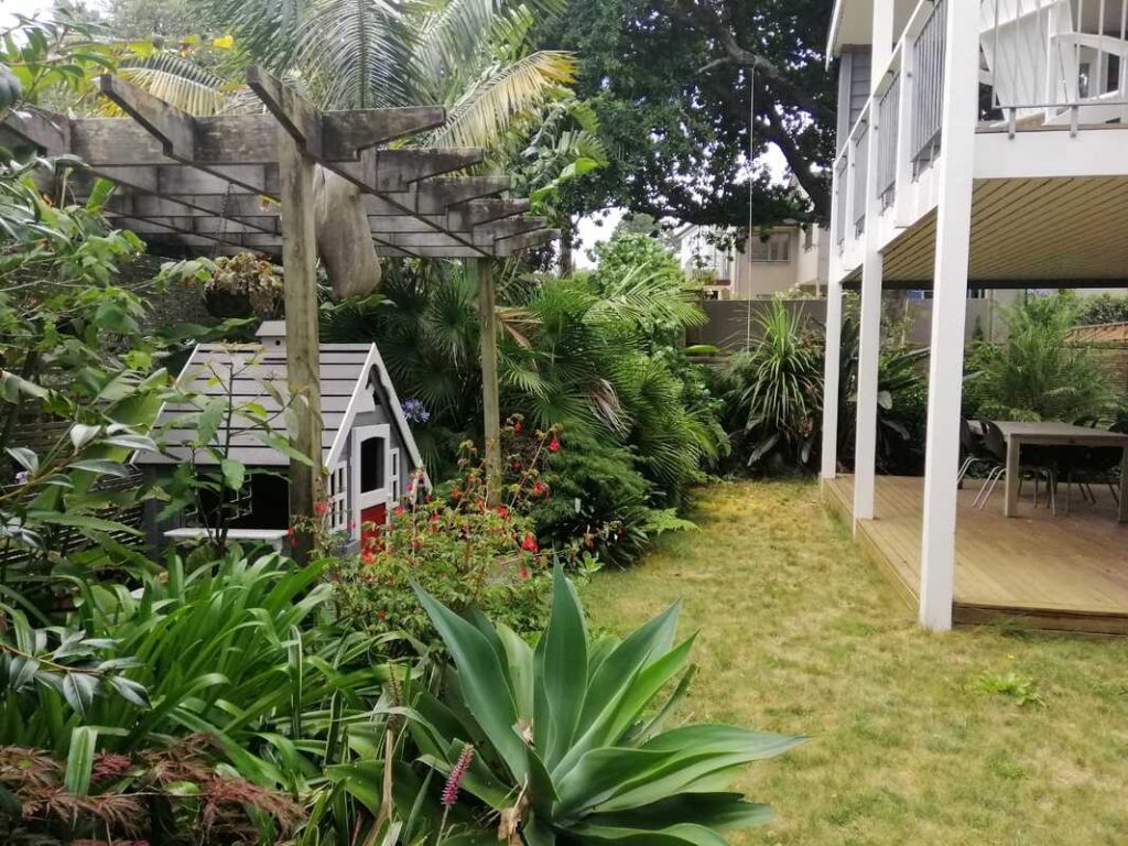 Trimmed and tidied garden in Auckland