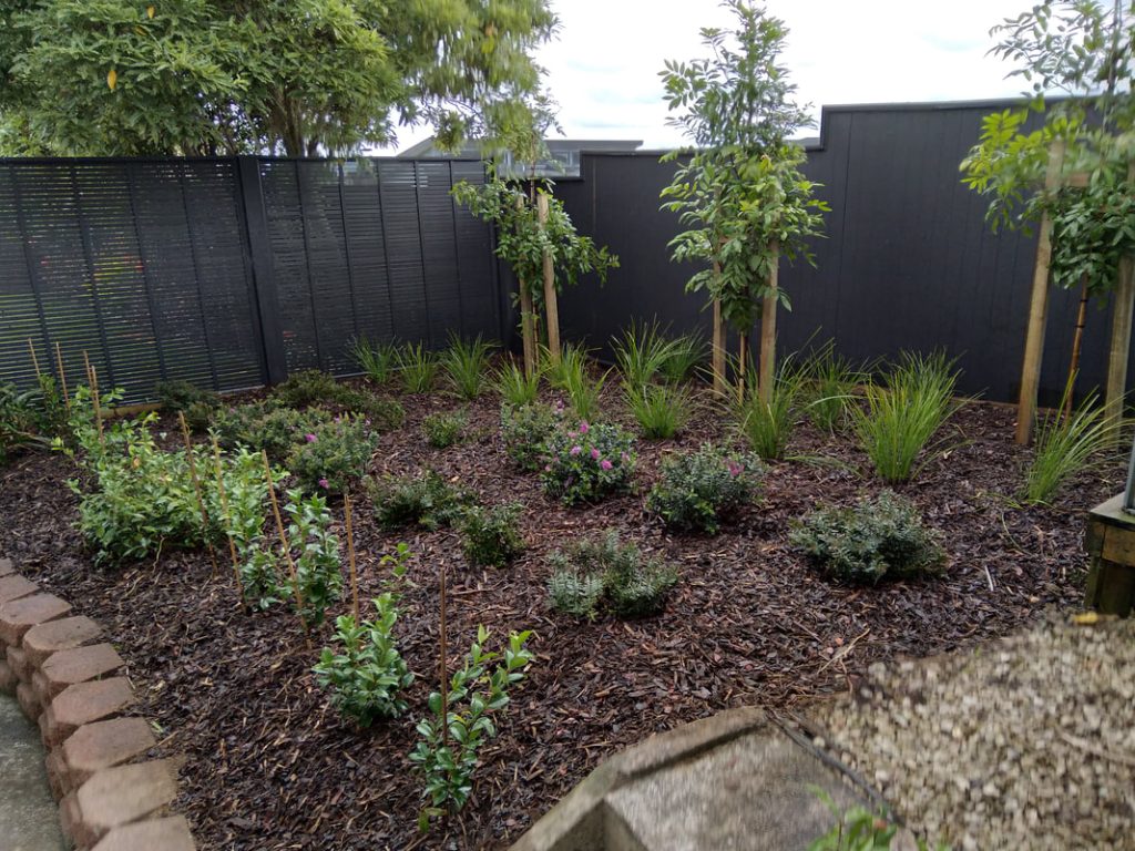 Landscaped garden in North Shore Auckland