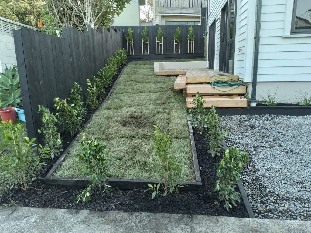 Landscaping design ideas for a new build