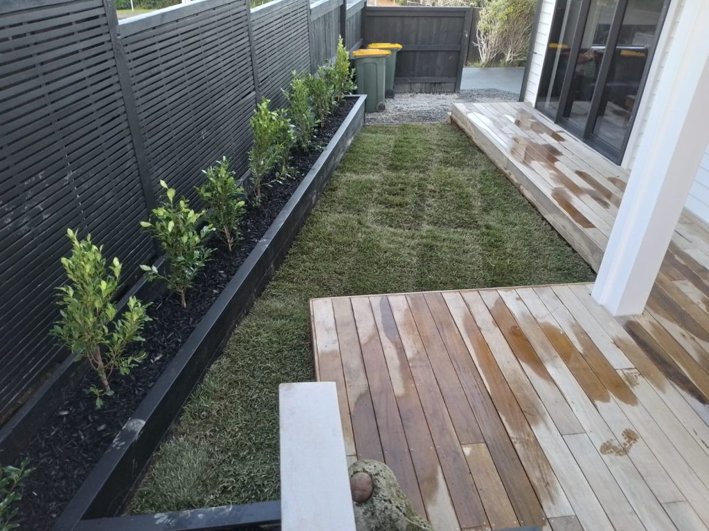 New Build planter boxes with ficus tuffy hedge